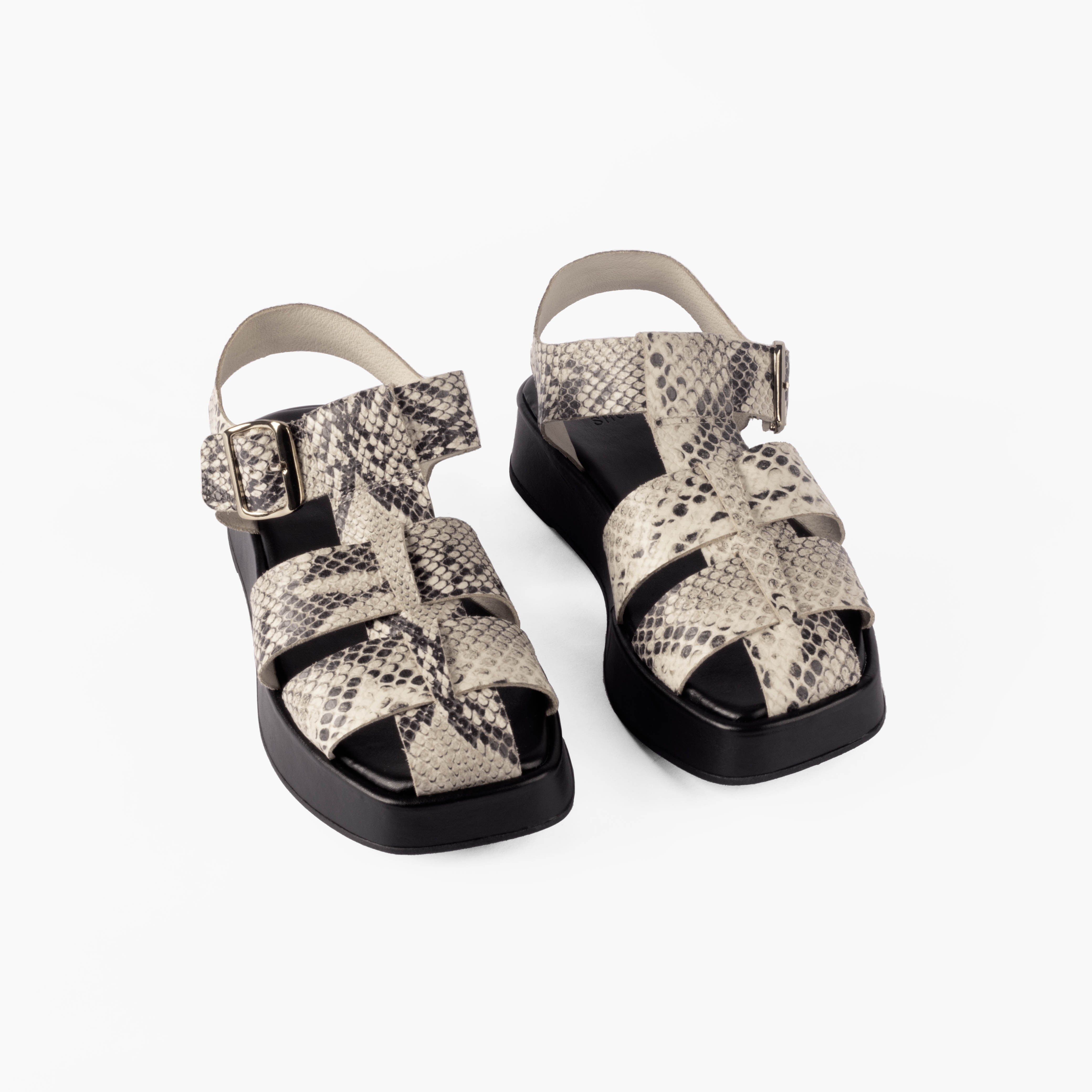 Flatform Ayla Snake