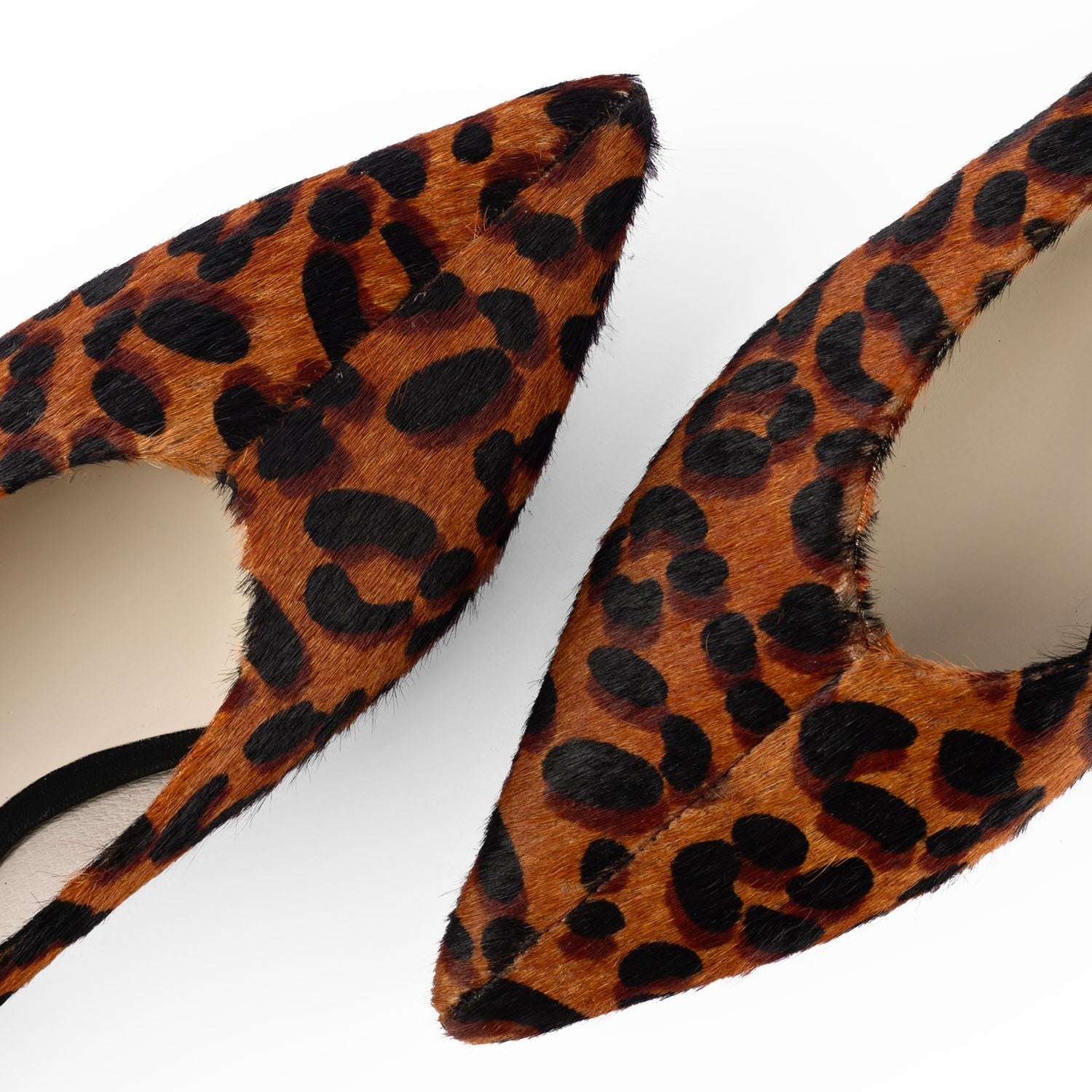 Sapatilha Louise Animal Print