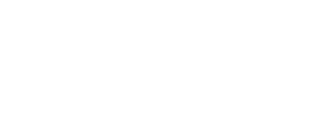 Vinci Shoes